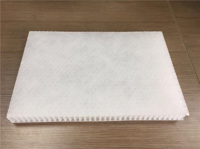 Núcleo de nido de abeja de plástico PP