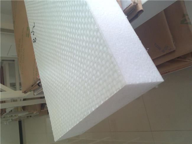 Panel de espuma termoplástica para edificios móviles