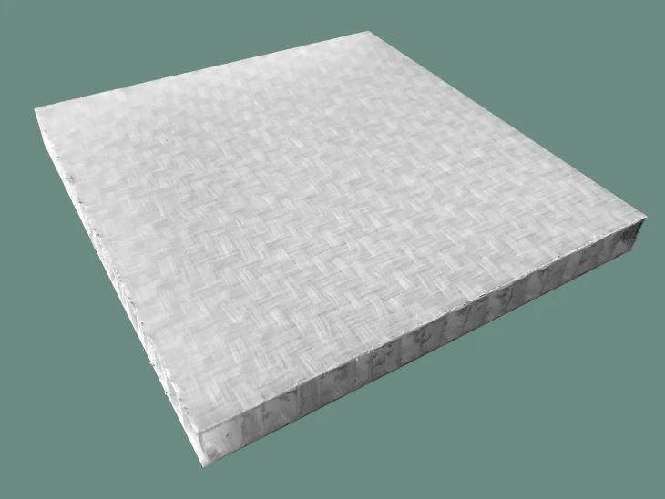 Panel sándwich de polímero compuesto